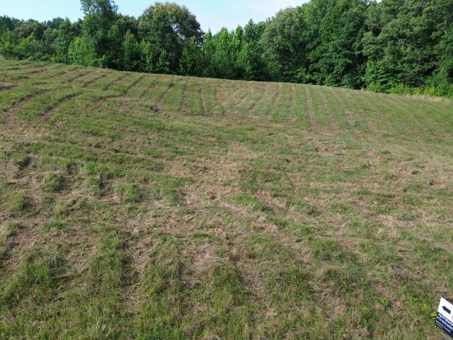 Land for sale in Tennessee