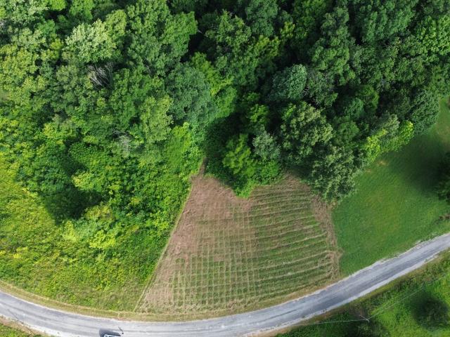 Land for sale in Tennessee