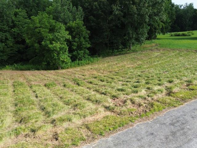 Land for sale in Tennessee