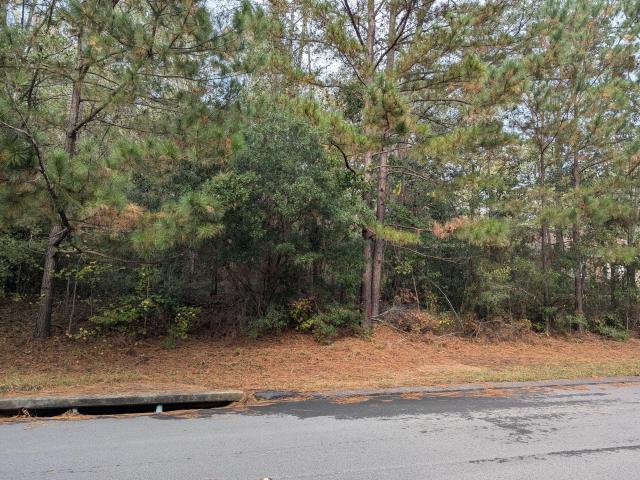 Land for sale in Graniteville Land for sale in Graniteville