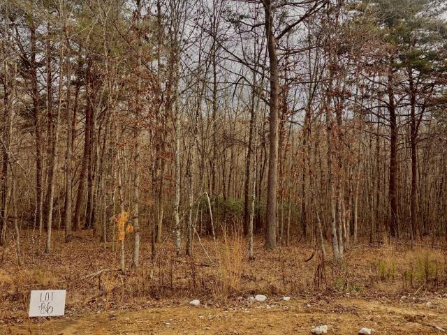 Land for sale in Tennessee