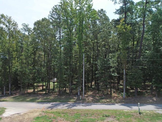 Land for sale in Frierson, Manning