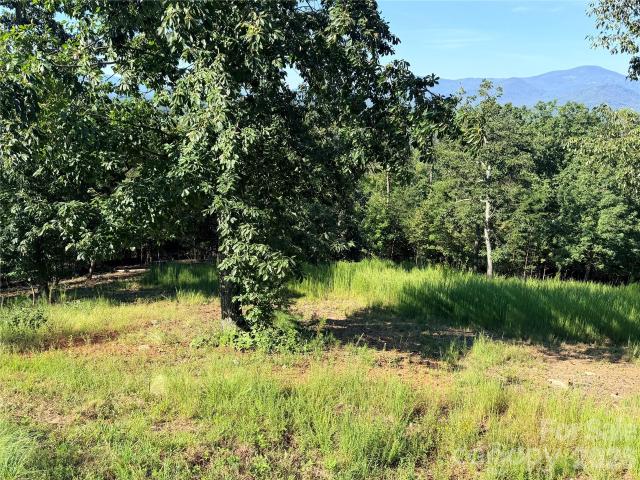 Land for sale in Lake Lure, Rutherford County