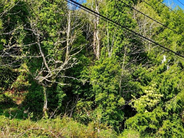 Land for sale in South Aberdeen, Aberdeen