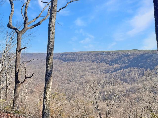 Land for sale in Tennessee