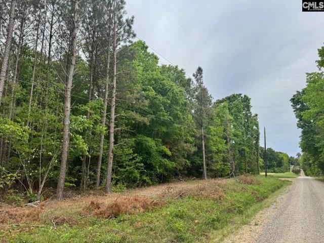 Land for sale in Johnston, South Carolina