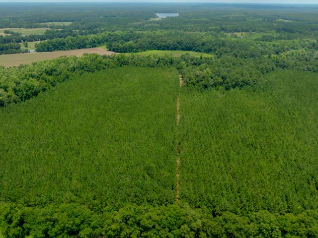 Land for sale in Evans, Georgia