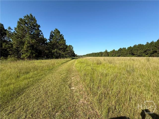Land for sale in Evans, Georgia