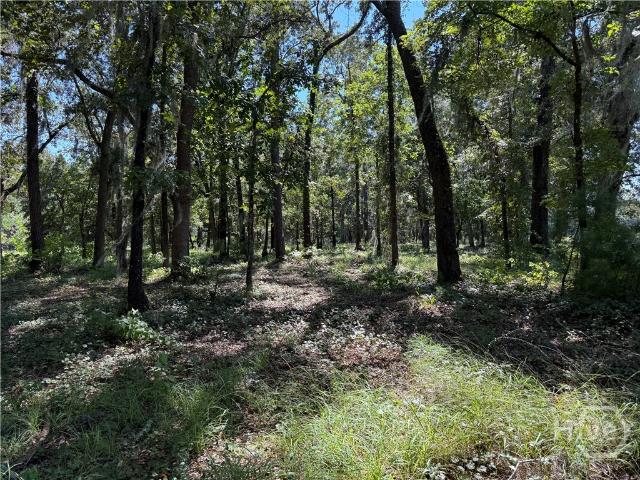 Land for sale in Evans, Georgia
