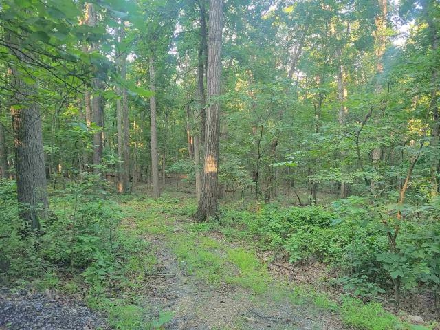 Land for sale in Virginia