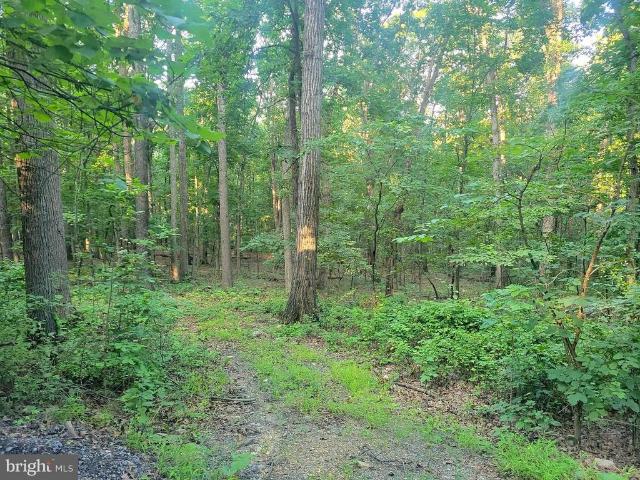 Land for sale in Virginia