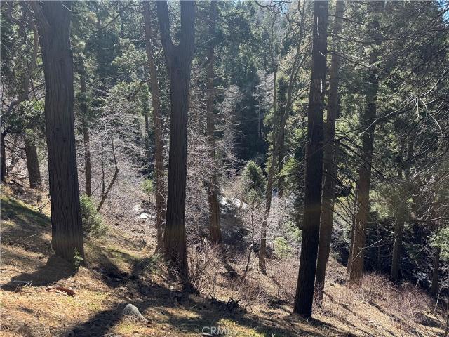 Land for sale in Lake Arrowhead, San Bernardino County