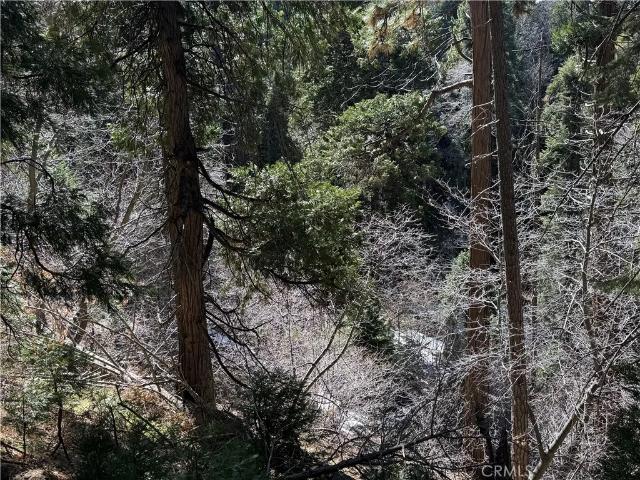 Land for sale in Cedar Glen