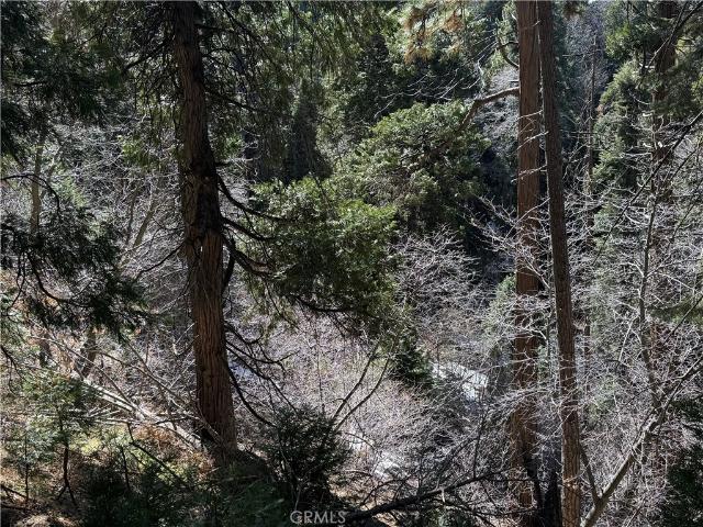 Land for sale in Cedar Glen, California