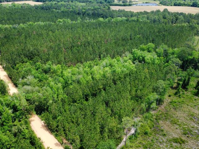 Land for sale in Fitzgerald, Georgia