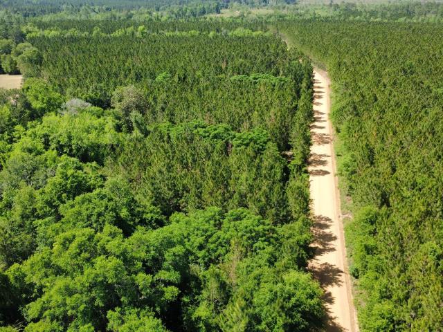 Land for sale in Fitzgerald, Georgia