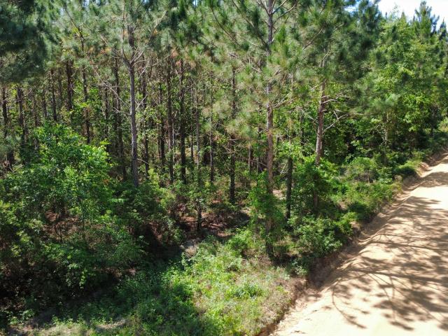 Land for sale in Fitzgerald, Ben Hill County