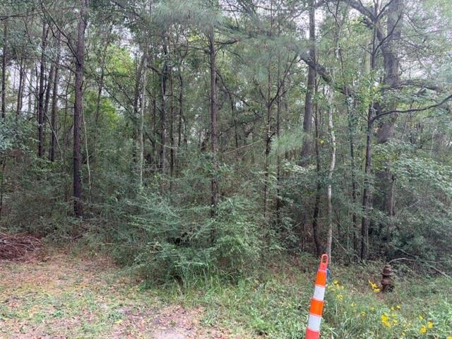 Land for sale in Lacombe, St. Tammany Parish