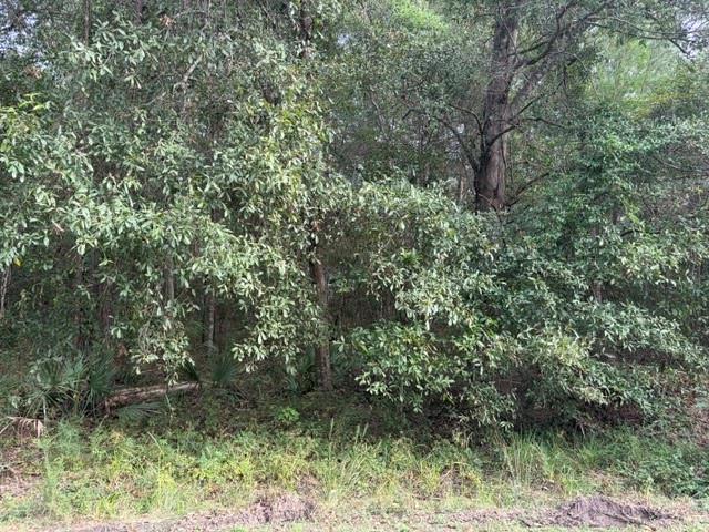 Land for sale in Lacombe, St. Tammany Parish