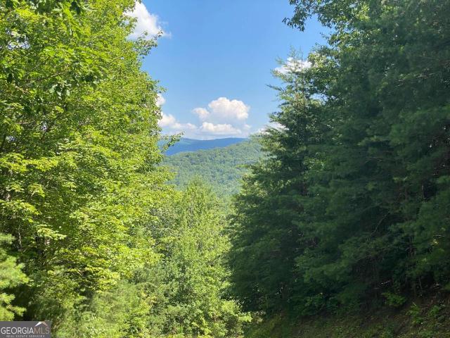 Land for sale in Blairsville, Georgia