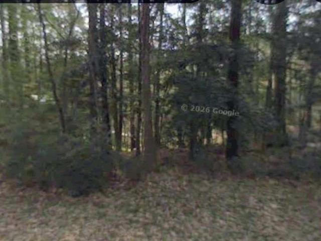 Land for sale in Polk, Texas