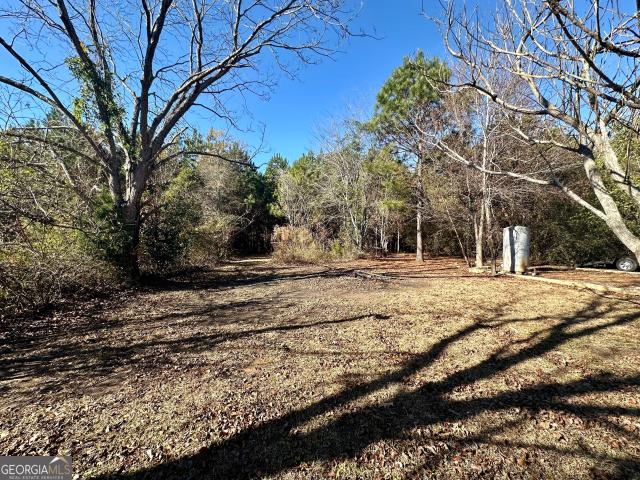 Land for sale in Fort Valley, Georgia