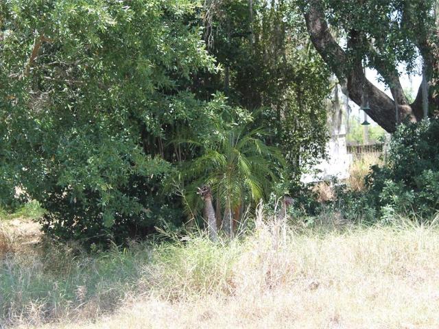 Land for sale in Babson Park, Florida