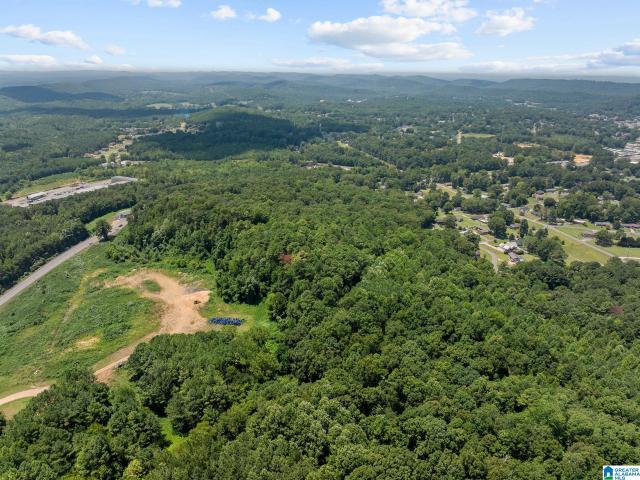 Land for sale in Eastwood, Oneonta