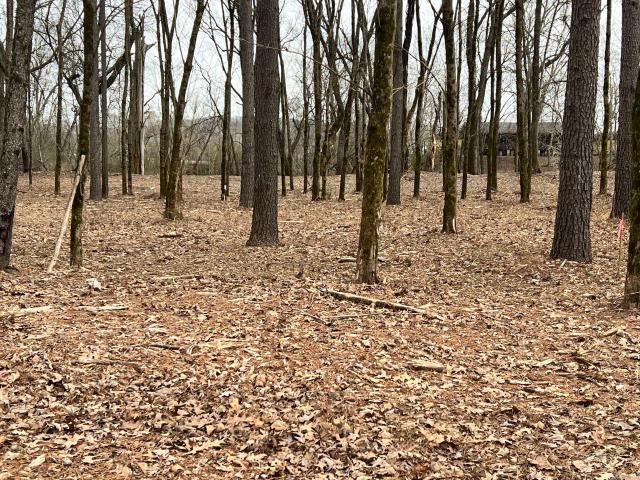 Land for sale in Ark