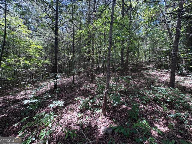 Land for sale in Toccoa, Georgia
