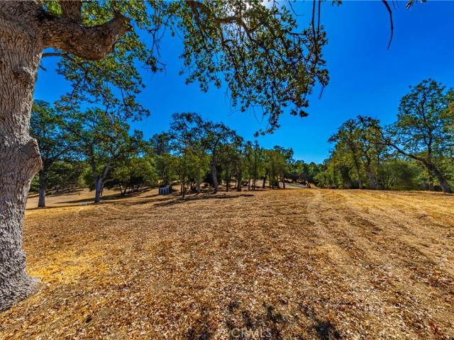 Land for sale in Coarsegold, California