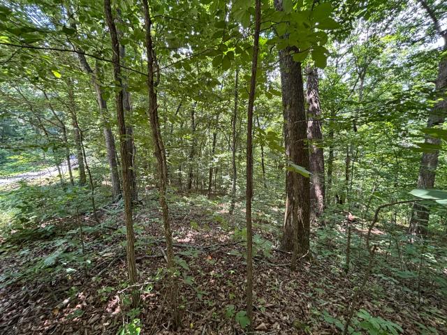 Land for sale in Tennessee