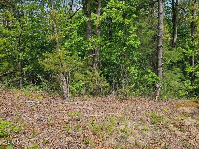 Land for sale in Tennessee