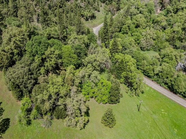 Land for sale in Pine Grove, California