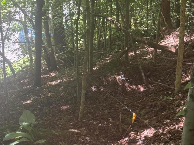 Land for sale in Tennessee