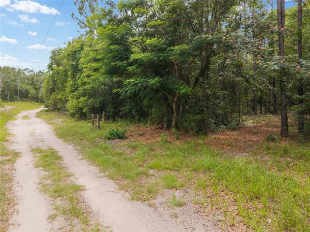 Land for sale in Newberry, Florida