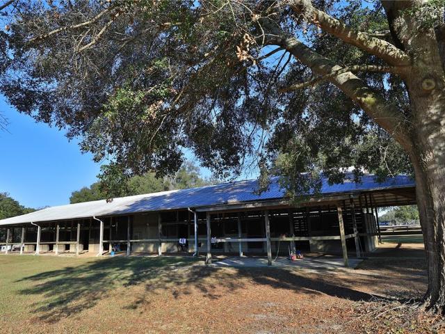 Property for sale in Ocala, Florida