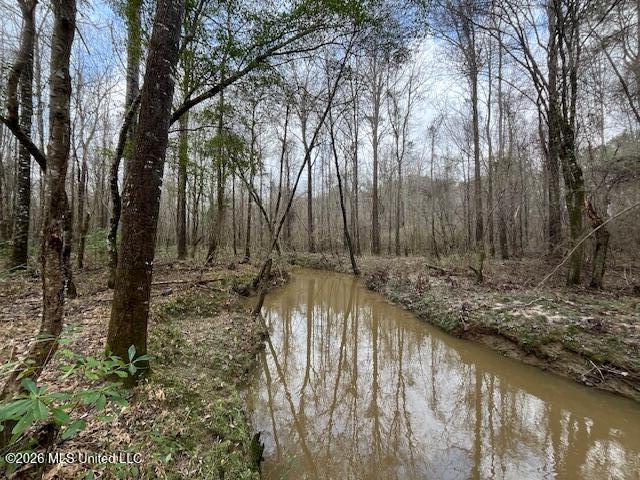 Land for sale in Mississippi