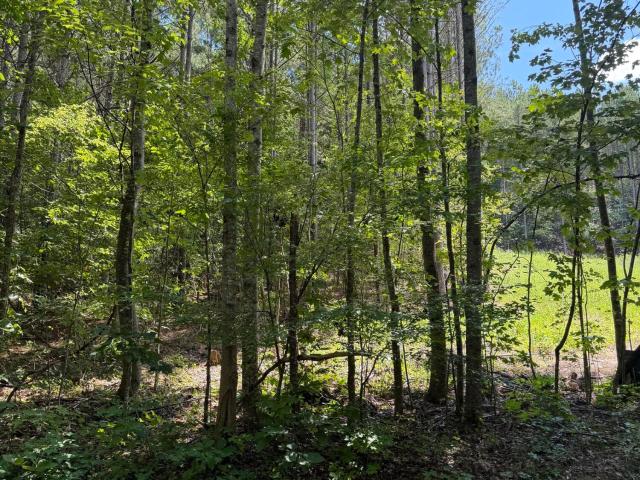 Land for sale in Tennessee