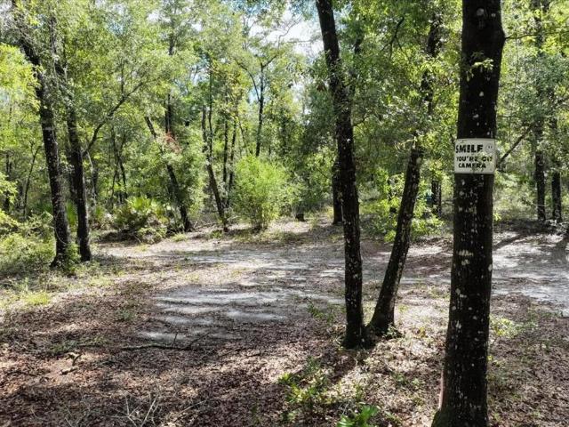 Land for sale in Cedar Key, Florida