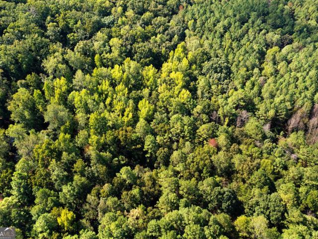 Land for sale in Six Mile, Rome
