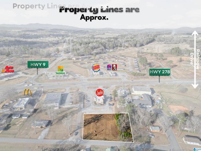 Land for sale in Piedmont, Alabama