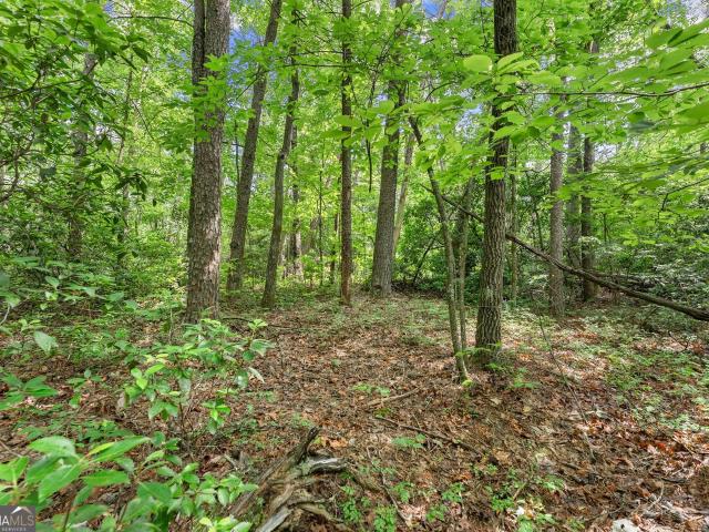 Land for sale in White County, Georgia