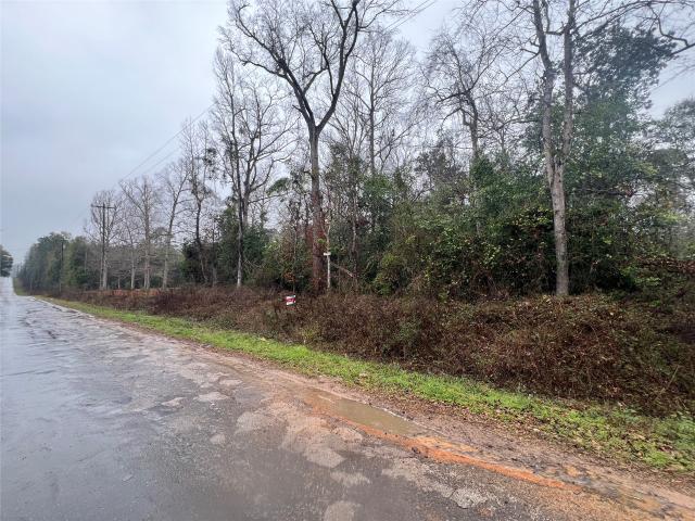 Land for sale in Polk, Texas