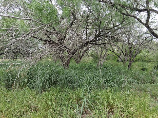 Land for sale in San Patricio, Texas