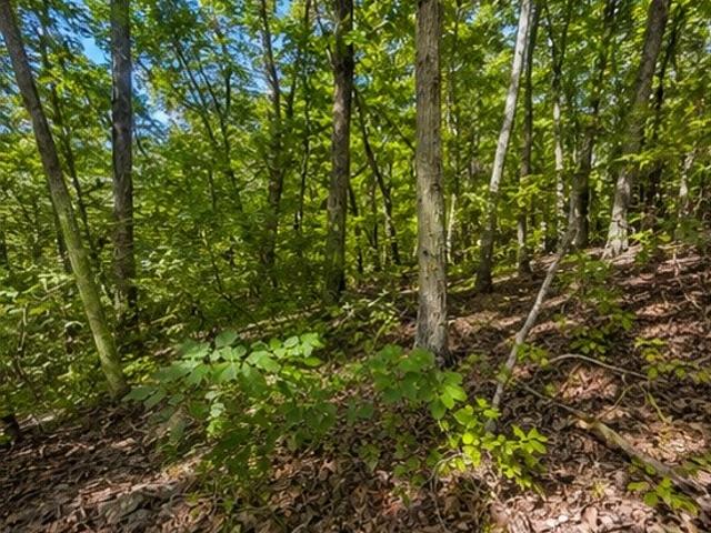 Land for sale in Tennessee