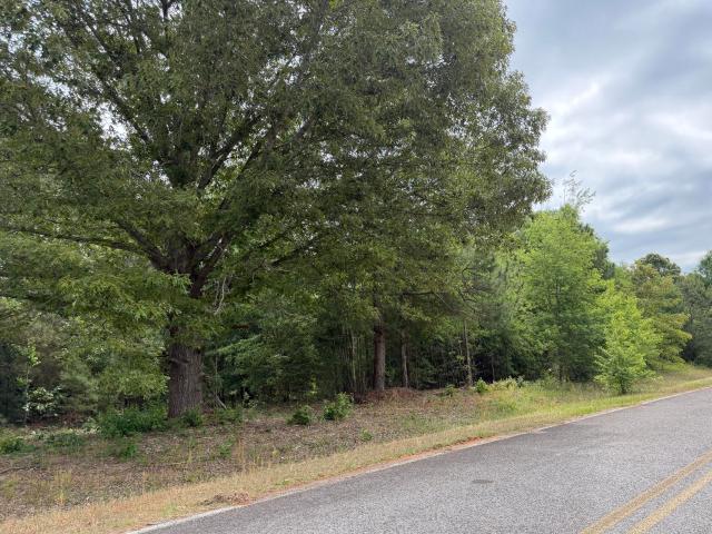 Land for sale in Stapleton, Georgia