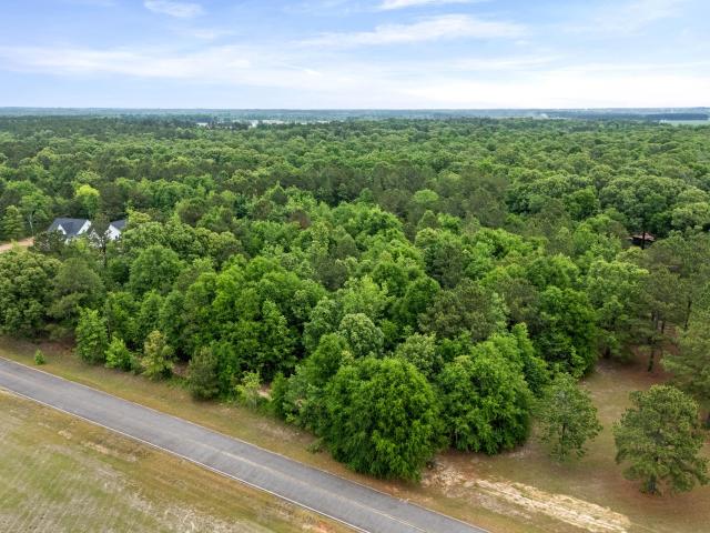 Land for sale in Stapleton, Georgia