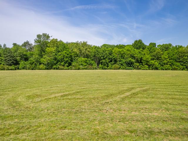 Land for sale in Taylor Crossroads, Dickson