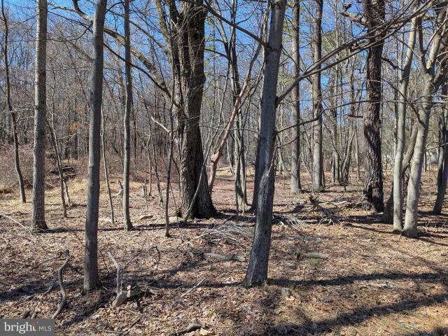 Land for sale in Gilbert, Pennsylvania